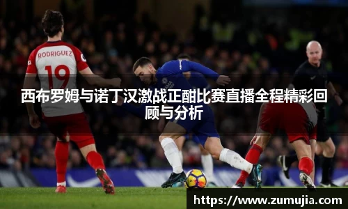 西布罗姆与诺丁汉激战正酣比赛直播全程精彩回顾与分析